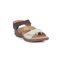 BROWN-MULTI