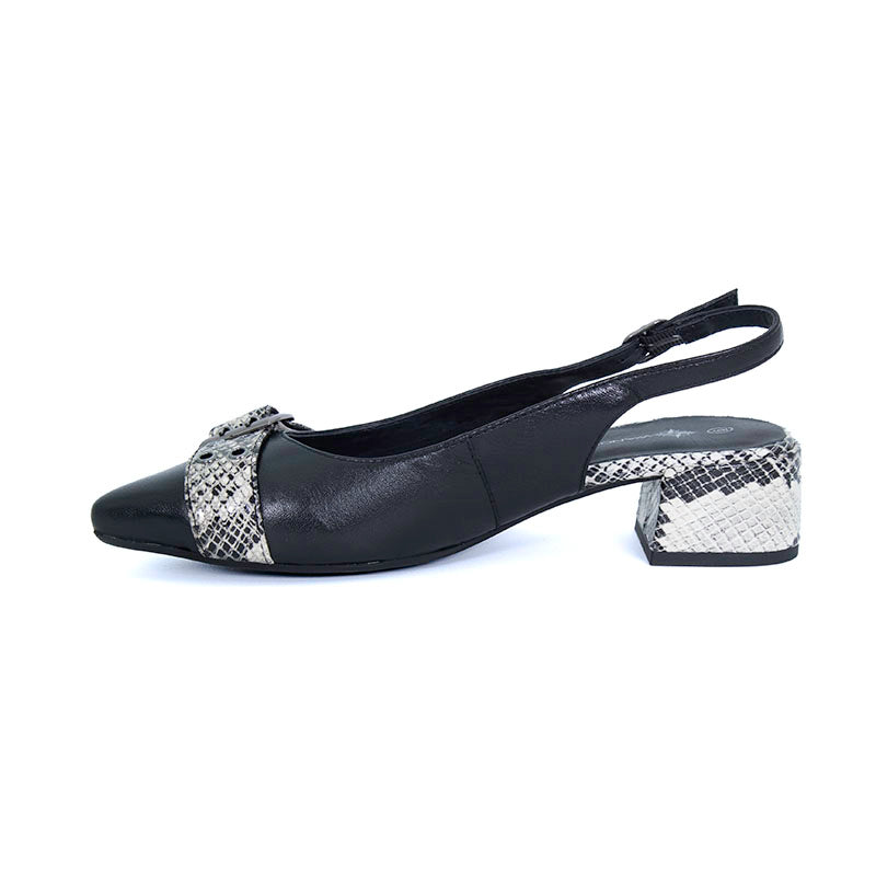 BLACK-SNAKE