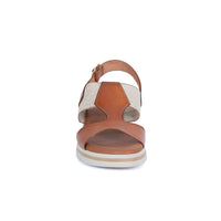 CHESTNUT