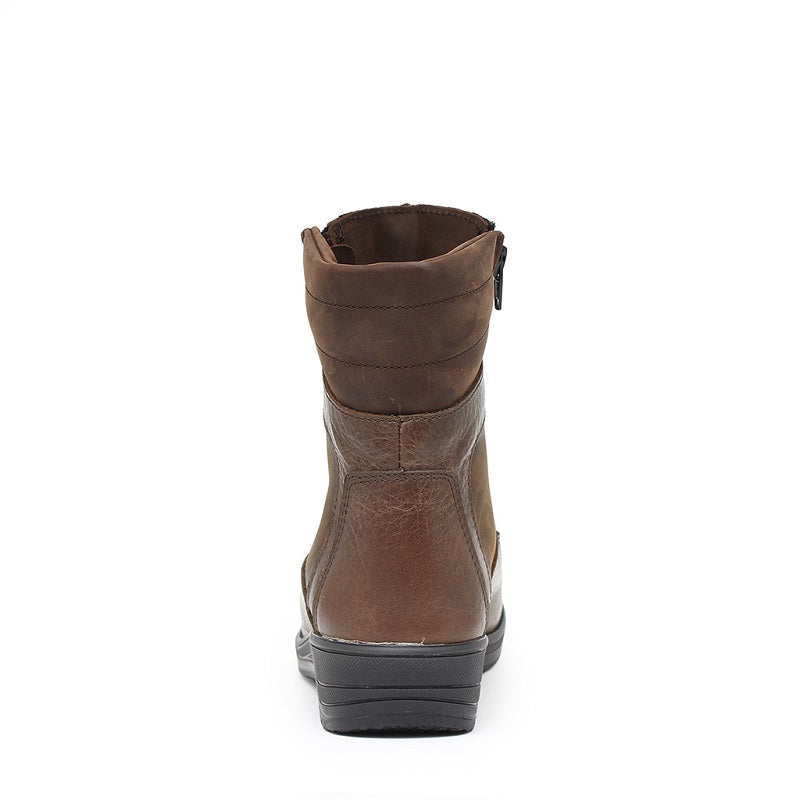 BROWN-BROWN